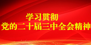 评估1051改性MDI的环境友好性与低挥发性表现分析