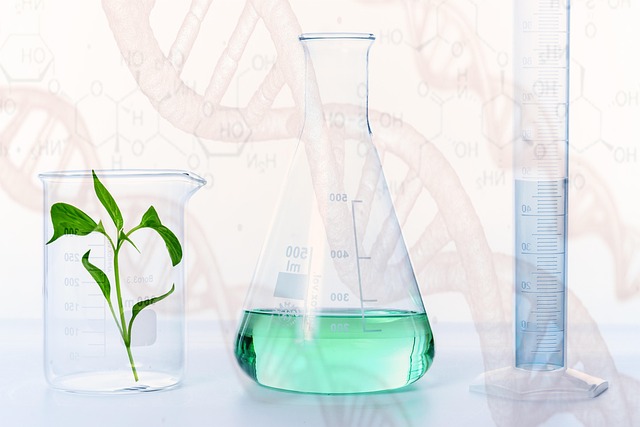 新型DBU衍生物的合成及其在聚氨酯领域的创新应用